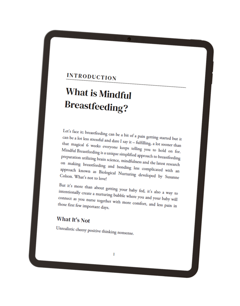 Mindful Breastfeeding Book